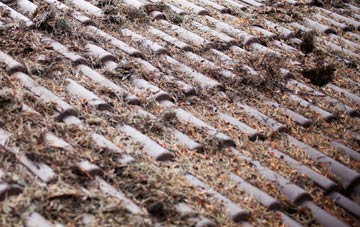 Leamoor Common roof cleaning companies